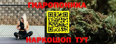 альфа пвп Гатчина