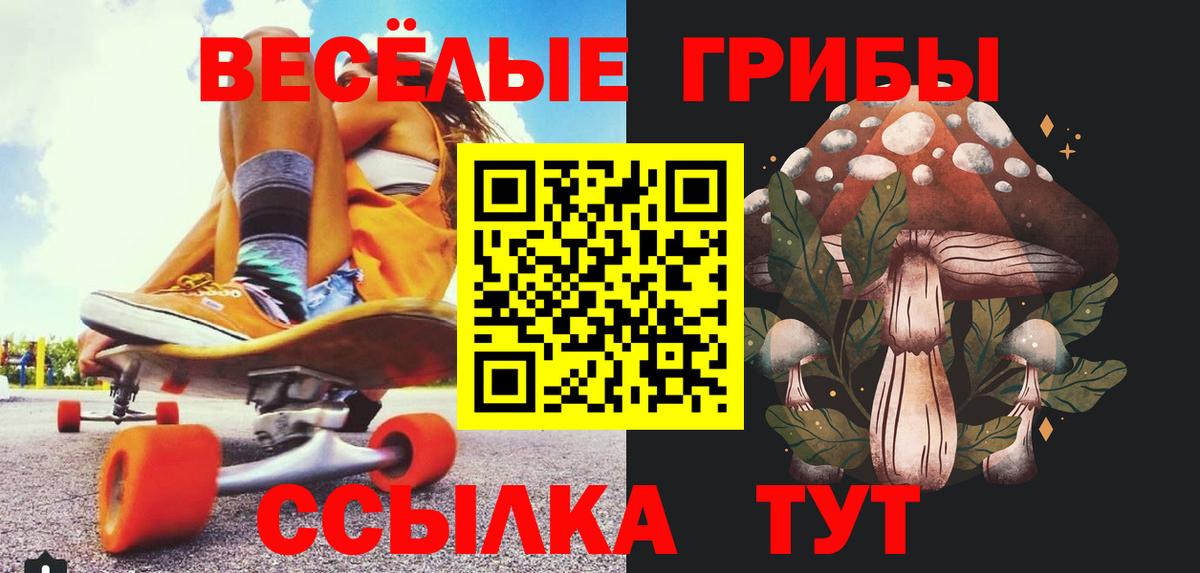 Псилоцибиновые грибы MAGIC MUSHROOMS Касимов