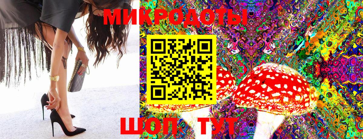 Касимов  Псилоцибиновые грибы Psilocybe  Галлюциногенные грибы Cubensis  Вход с VPN 